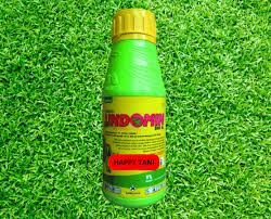 Lindomin